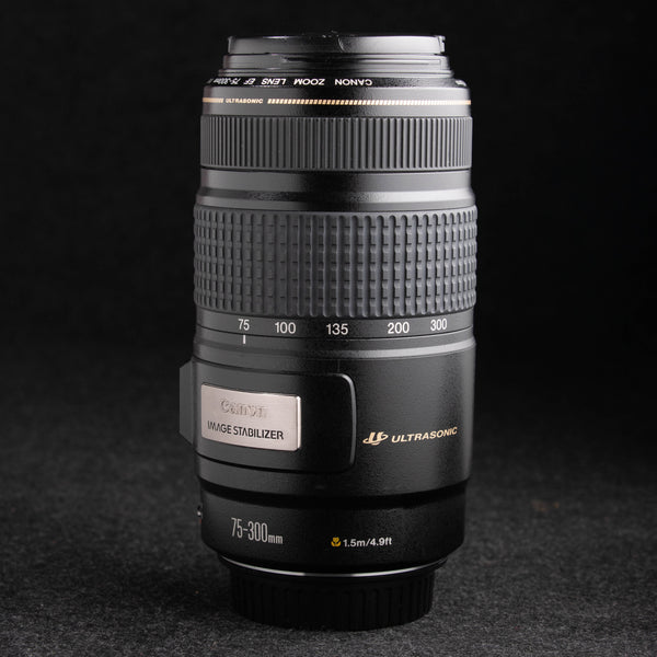 Canon EF 75-300mm f4-5.6 IS USM