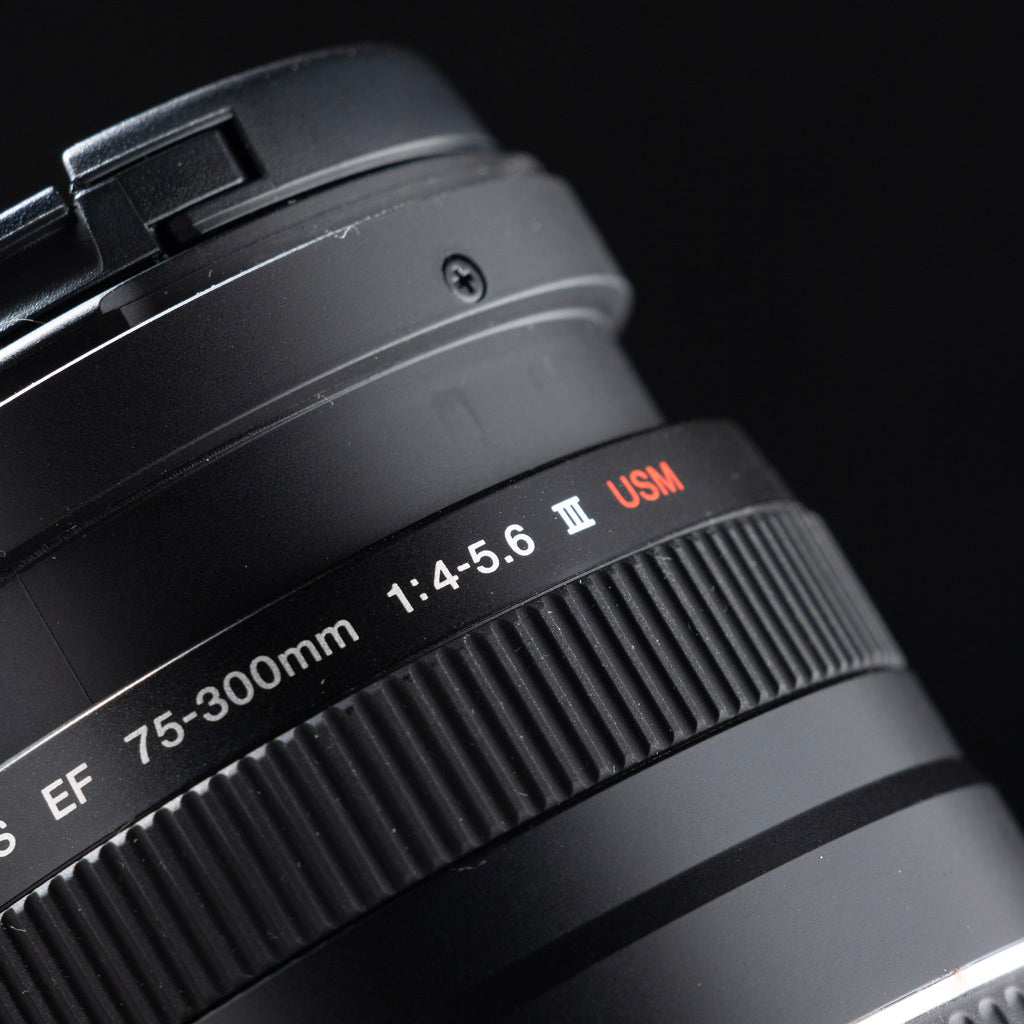 Canon EF 75-300mm F4-5.6 III USM