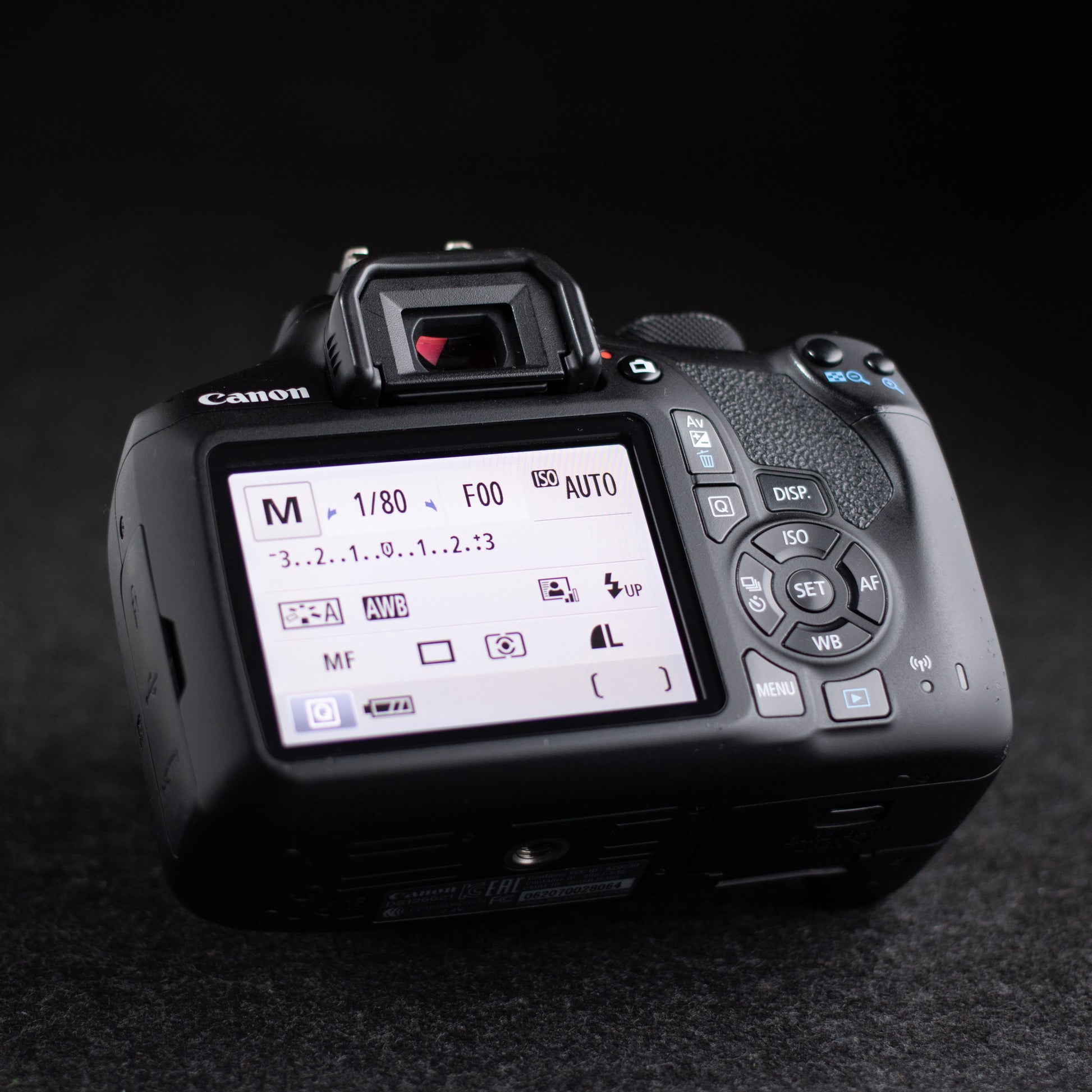 Canon EOS Rebel T6 18MP Digital SLR