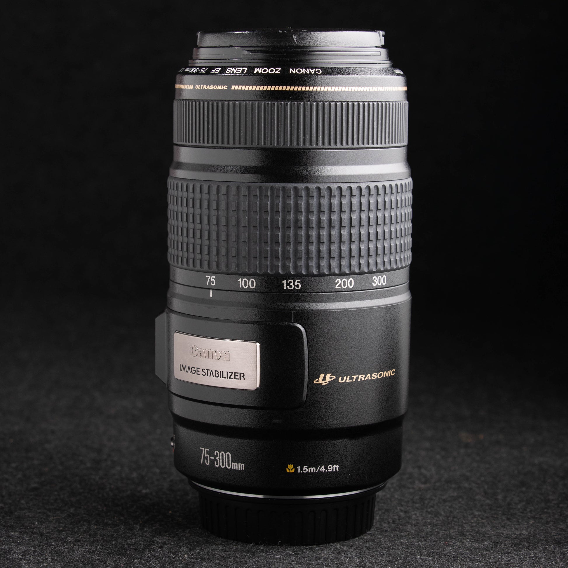 Canon EF 75-300mm f4-5.6 IS USM