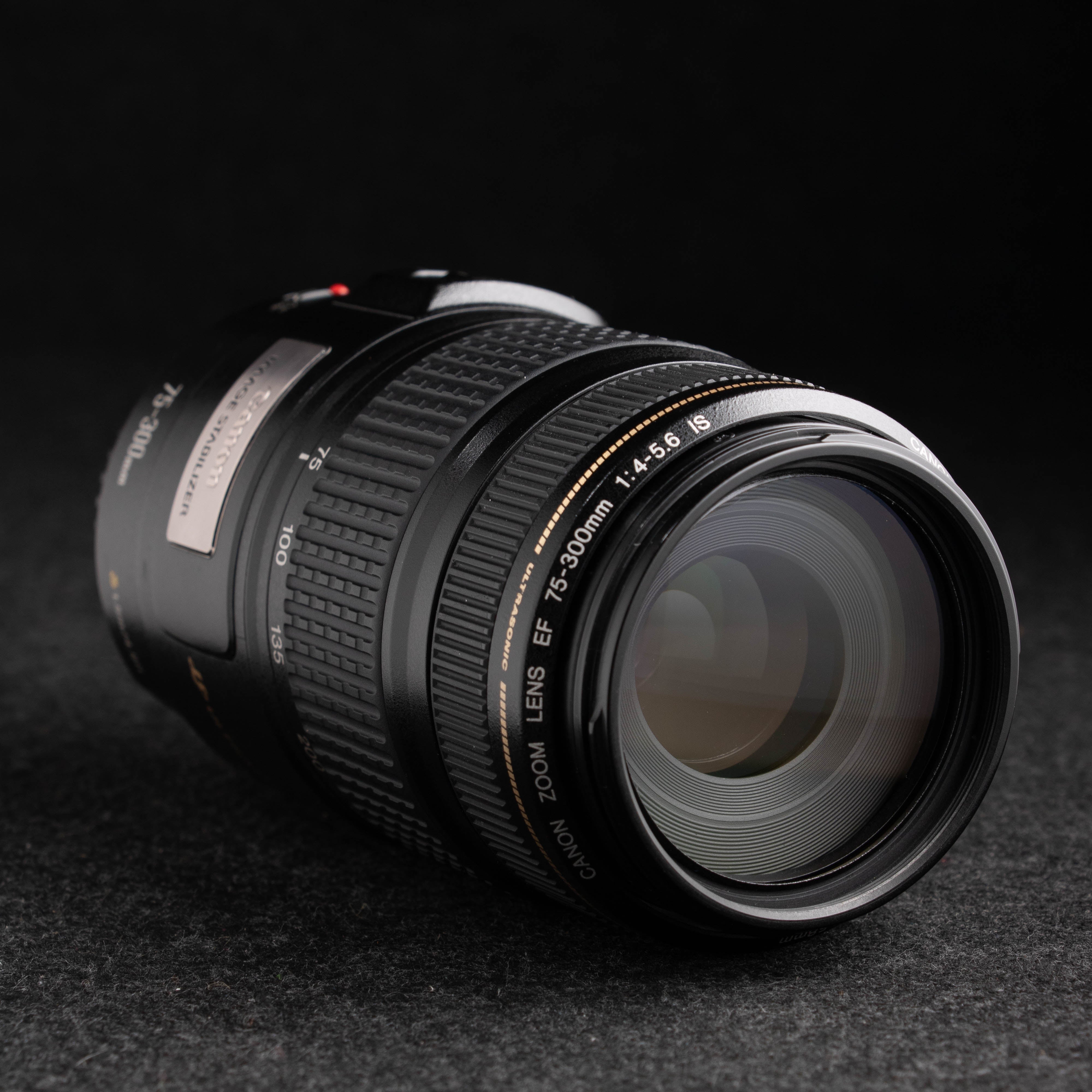 Canon EF 75-300mm f4-5.6 IS USM – De Cámaras Panamá