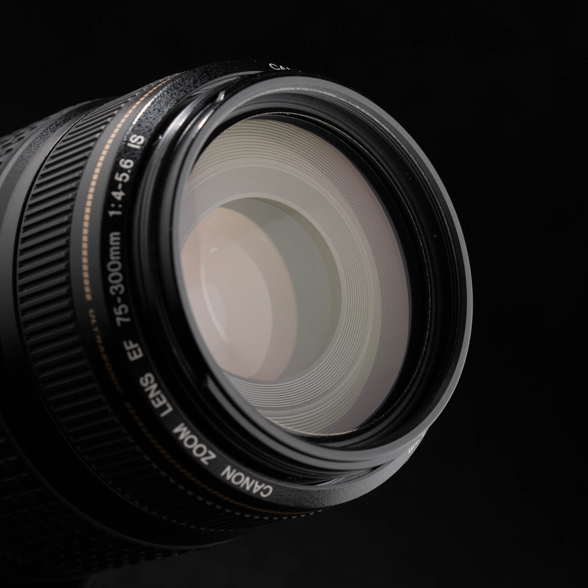 Canon EF 75-300mm f4-5.6 IS USM