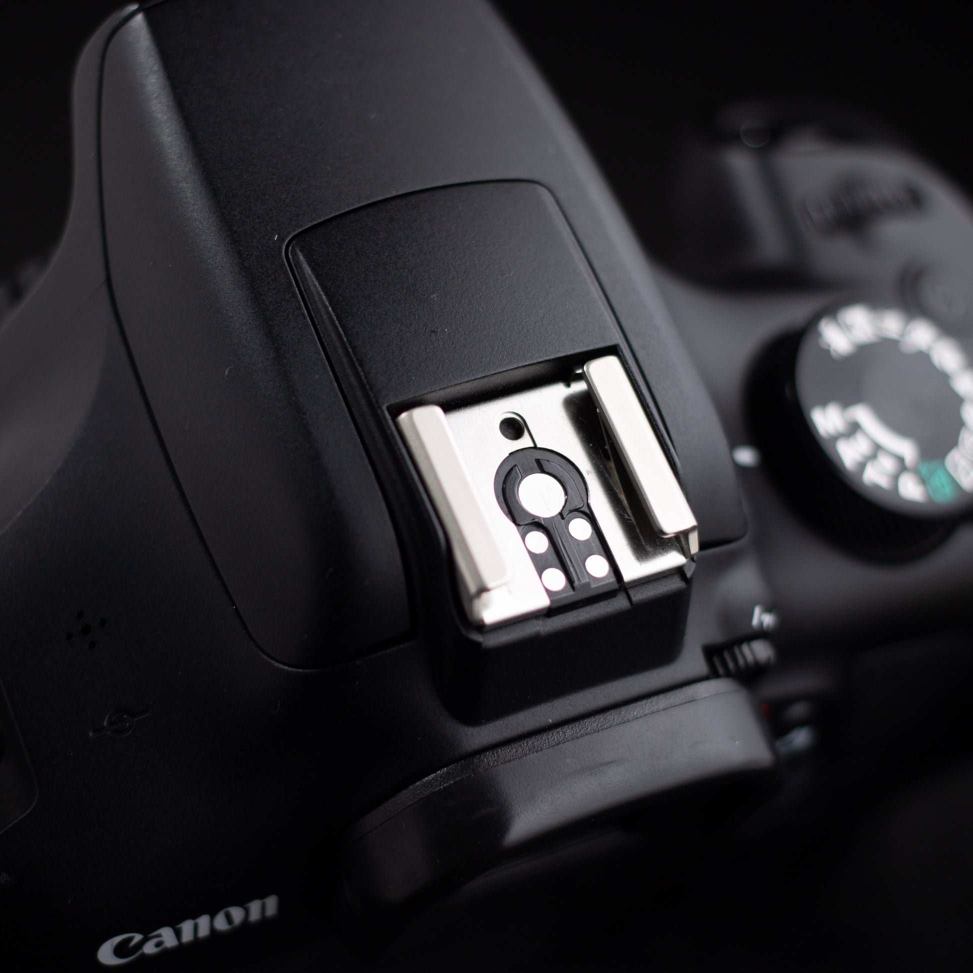 Canon EOS Rebel T6 18MP Digital SLR