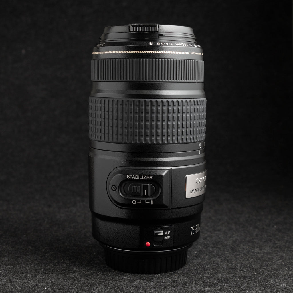 Canon EF 75-300mm f4-5.6 IS USM
