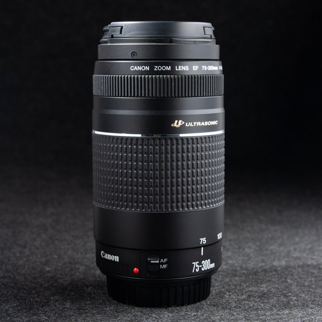 Canon EF 75-300mm F4-5.6 III USM