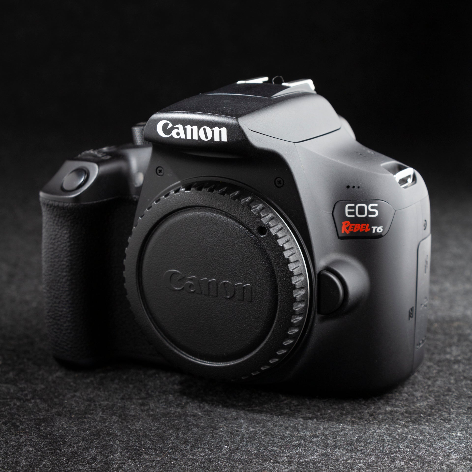 Canon EOS Rebel T6 18MP Digital SLR