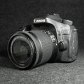 Canon EOS 80D 24.2 MP Digital SLR