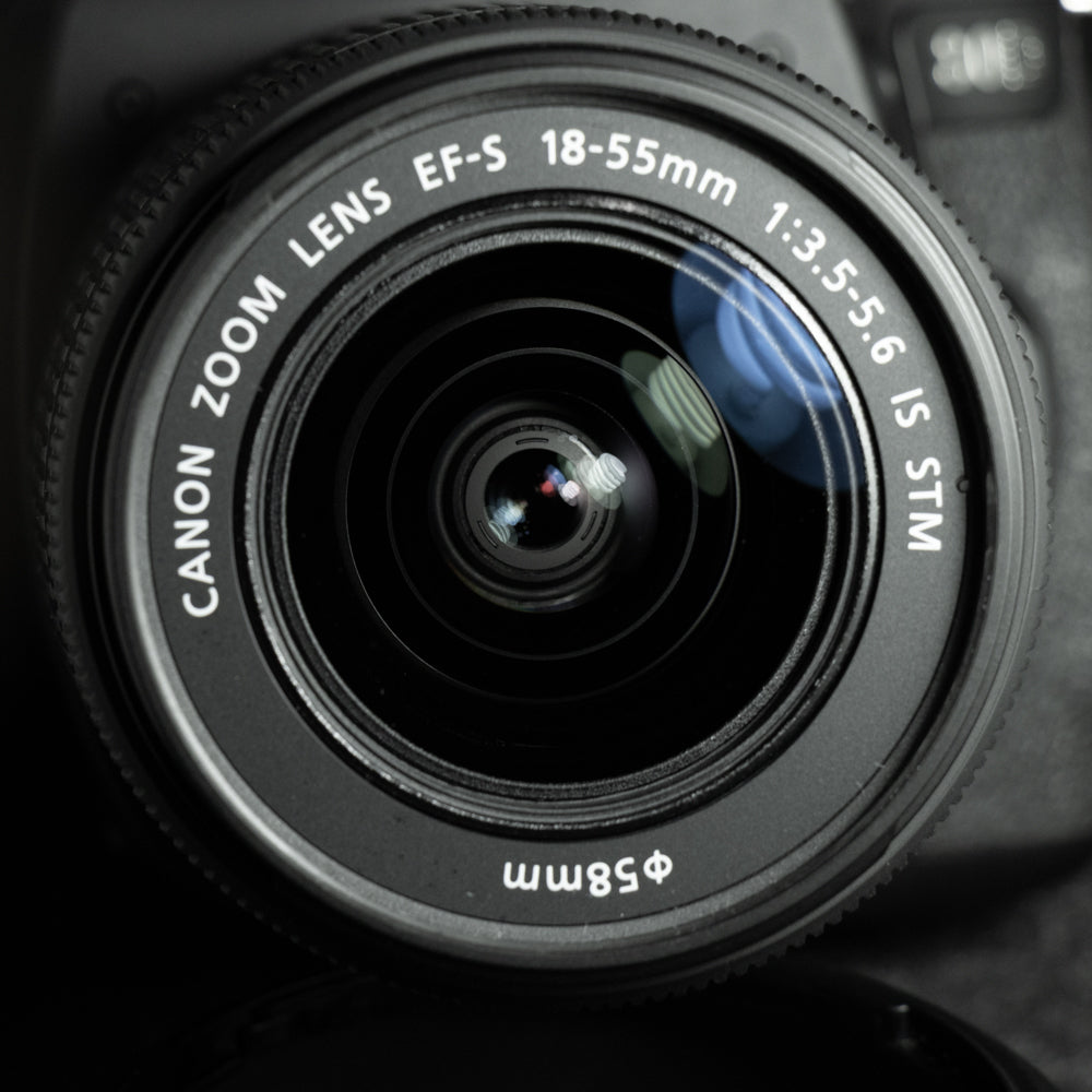 Canon EOS 80D 24.2 MP Digital SLR