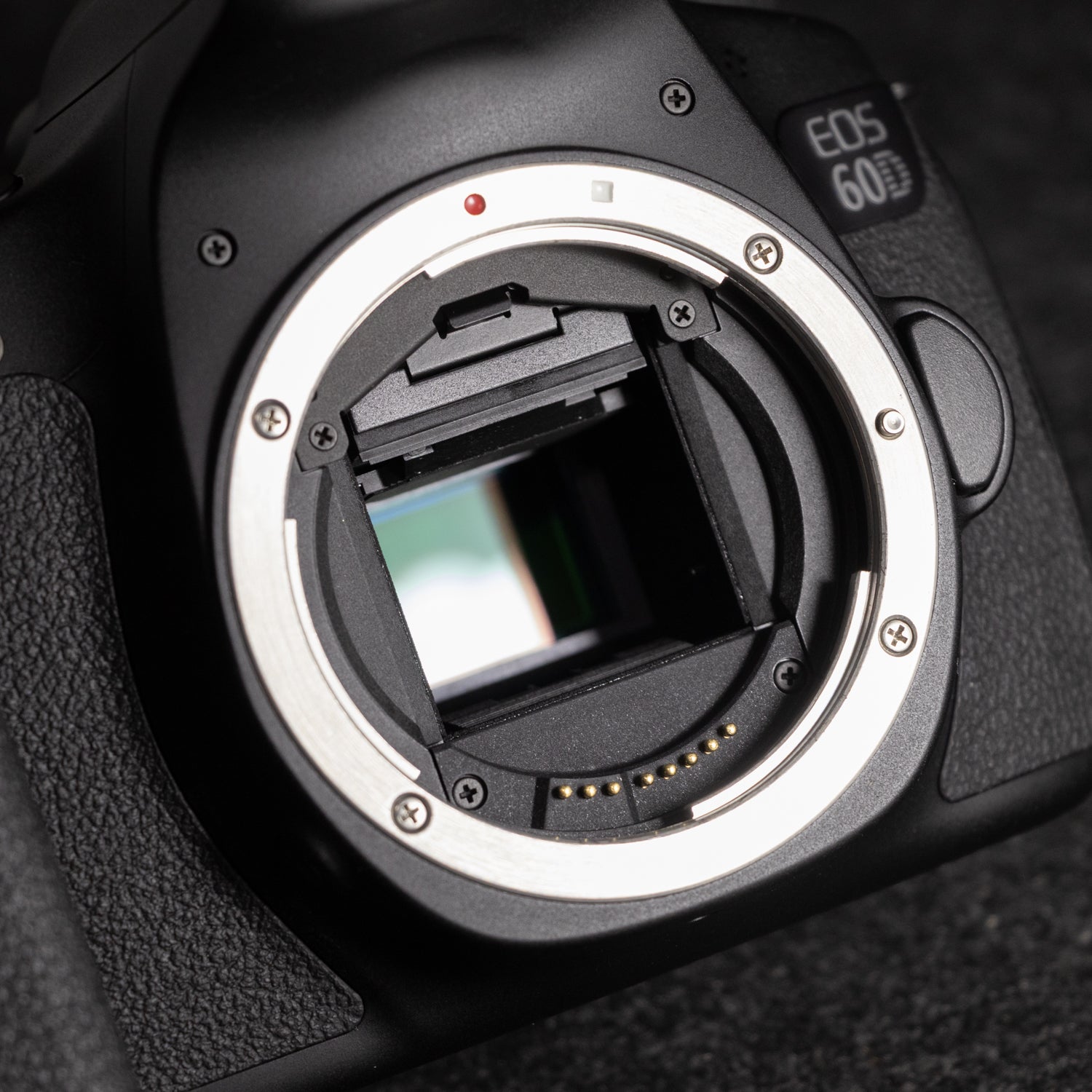 Canon EOS 60D 18MP Digital SLR – De Cámaras Panamá