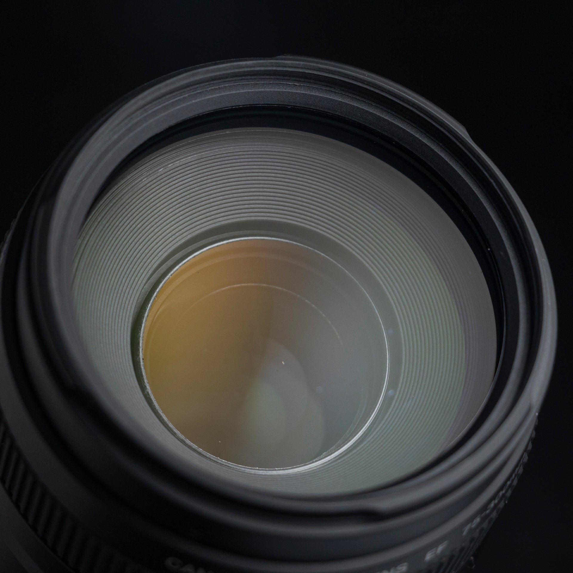 Canon EF 75-300mm F4-5.6 III