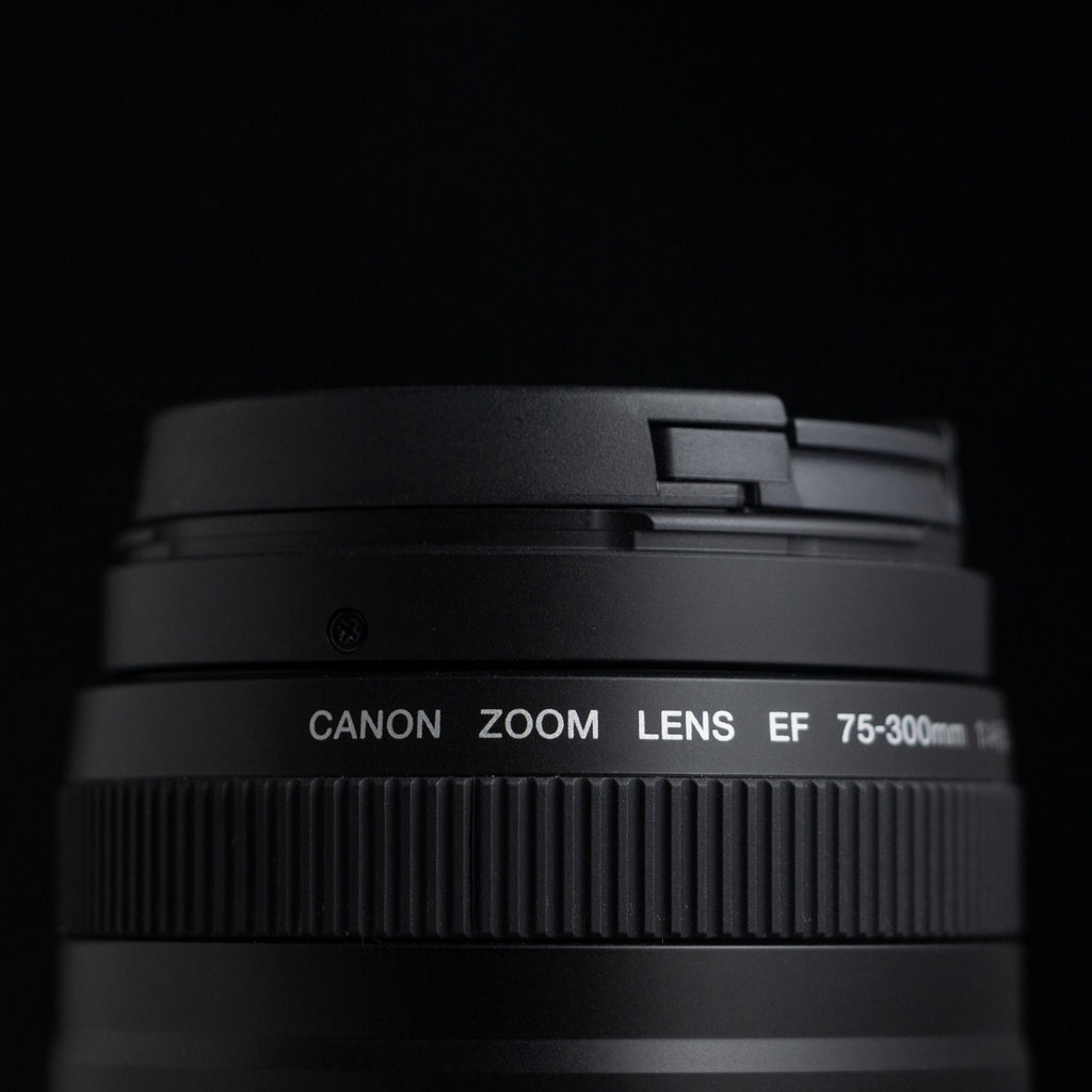 Canon EF 75-300mm F4-5.6 III