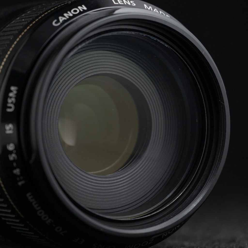 Canon EF 70-300mm f4-5.6 IS USM