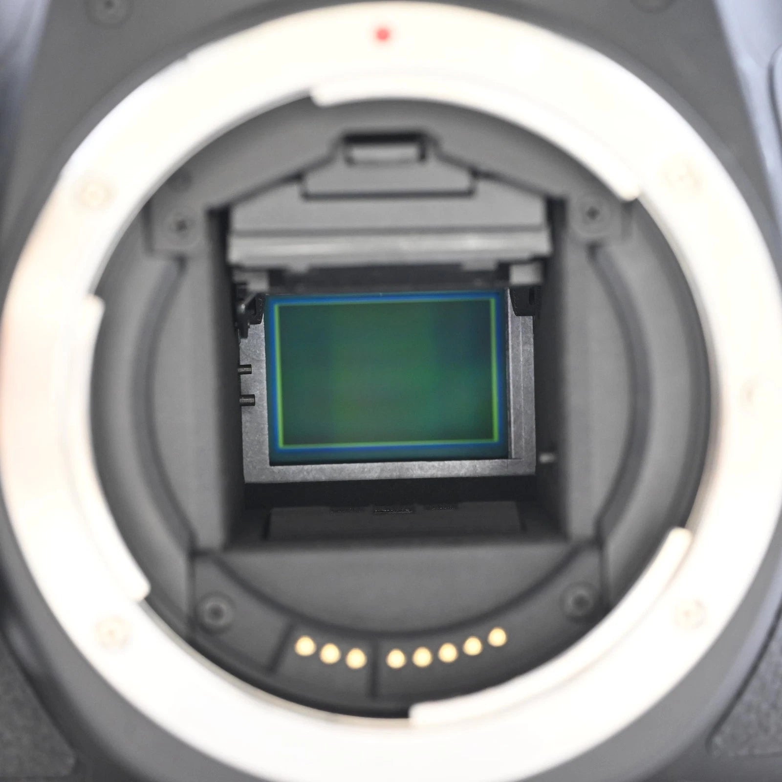 Canon EOS 60D 18MP Digital SLR